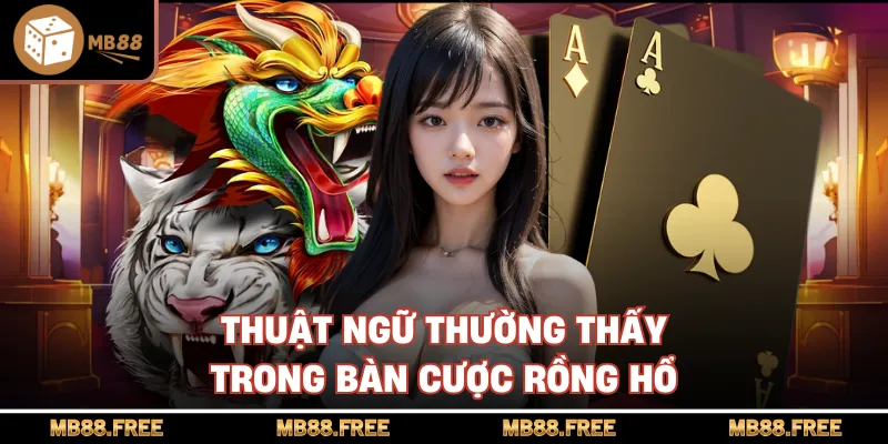 Thuật ngữ thường thấy trong bàn cược rồng hổ